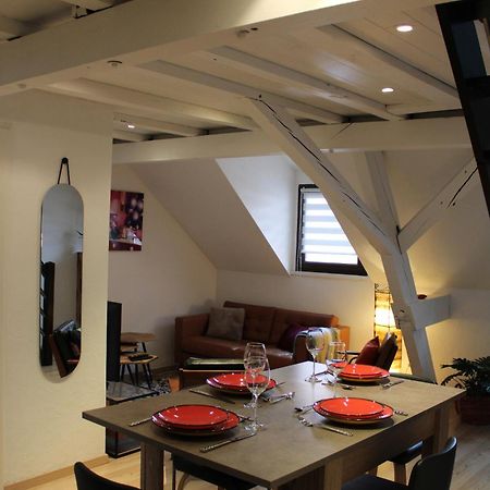 Charmant Duplex Privatise, Climatise, 2 Chambres Страсбург Экстерьер фото