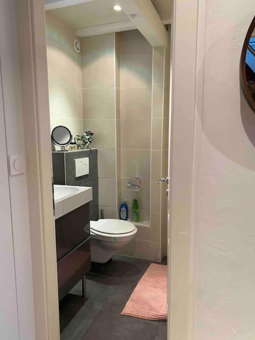 Charmant Duplex Privatise, Climatise, 2 Chambres Страсбург Экстерьер фото