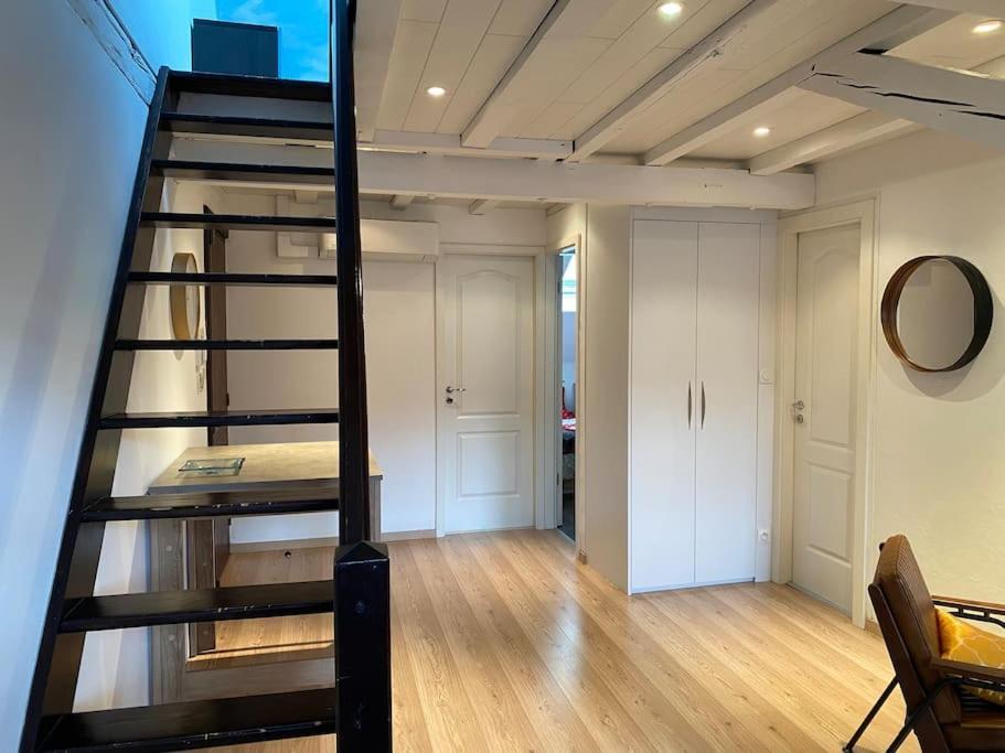 Charmant Duplex Privatise, Climatise, 2 Chambres Страсбург Экстерьер фото