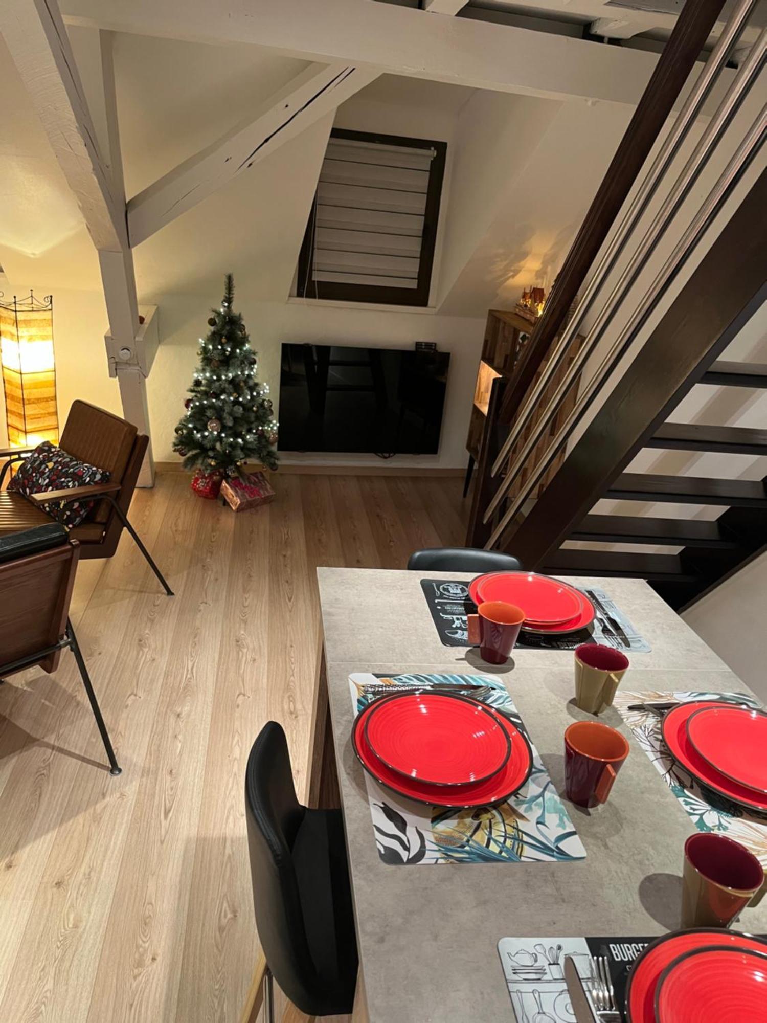 Charmant Duplex Privatise, Climatise, 2 Chambres Страсбург Экстерьер фото