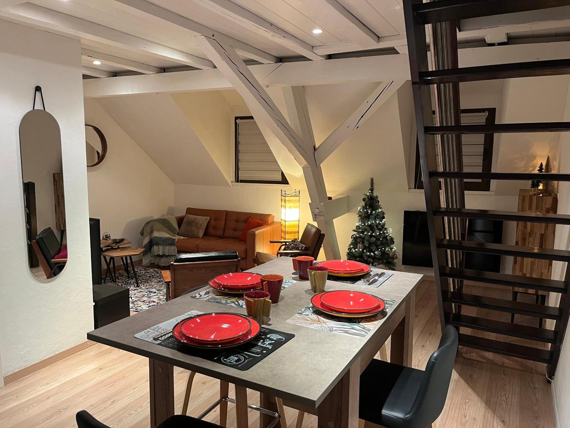 Charmant Duplex Privatise, Climatise, 2 Chambres Страсбург Экстерьер фото
