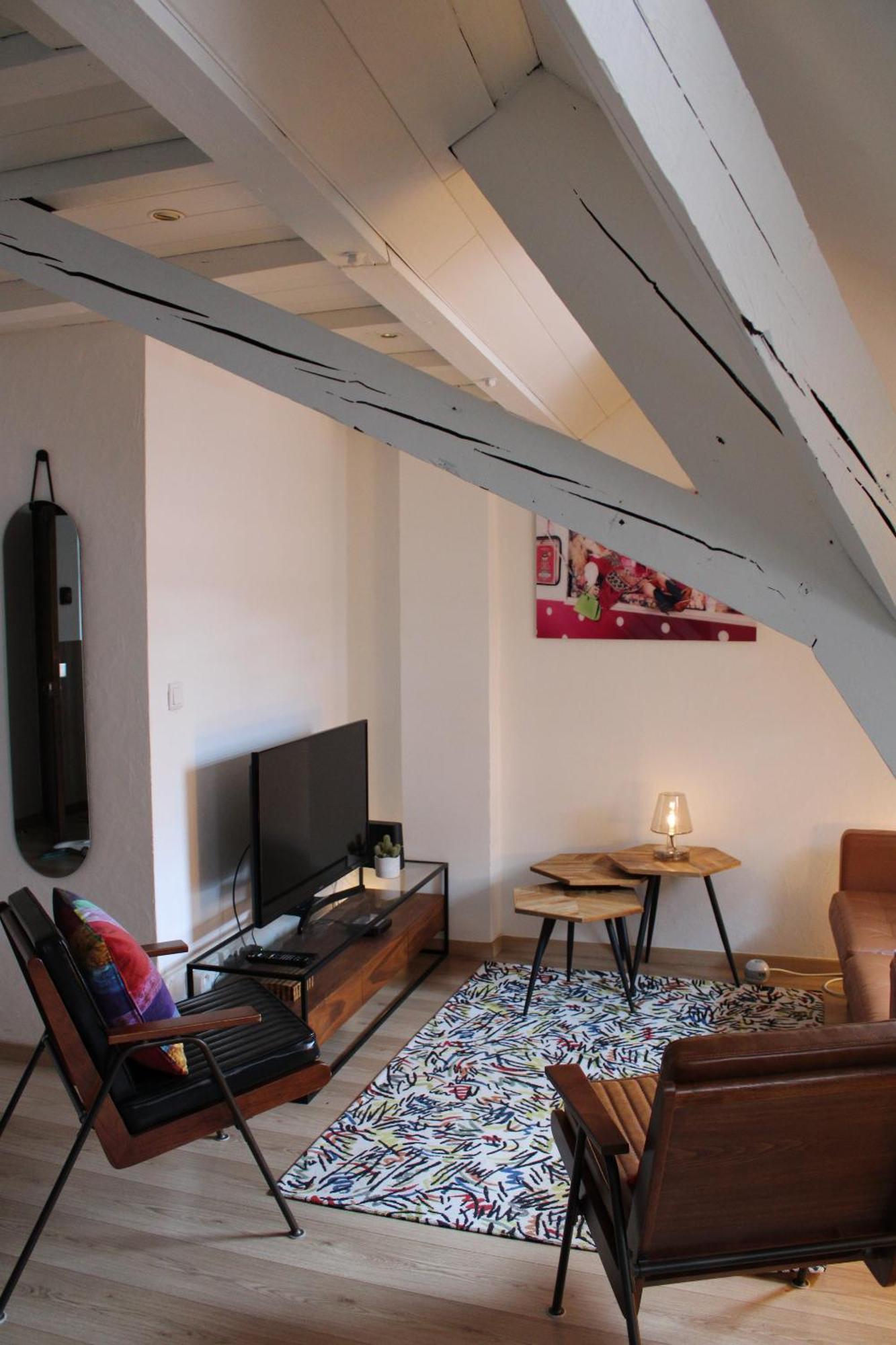 Charmant Duplex Privatise, Climatise, 2 Chambres Страсбург Экстерьер фото