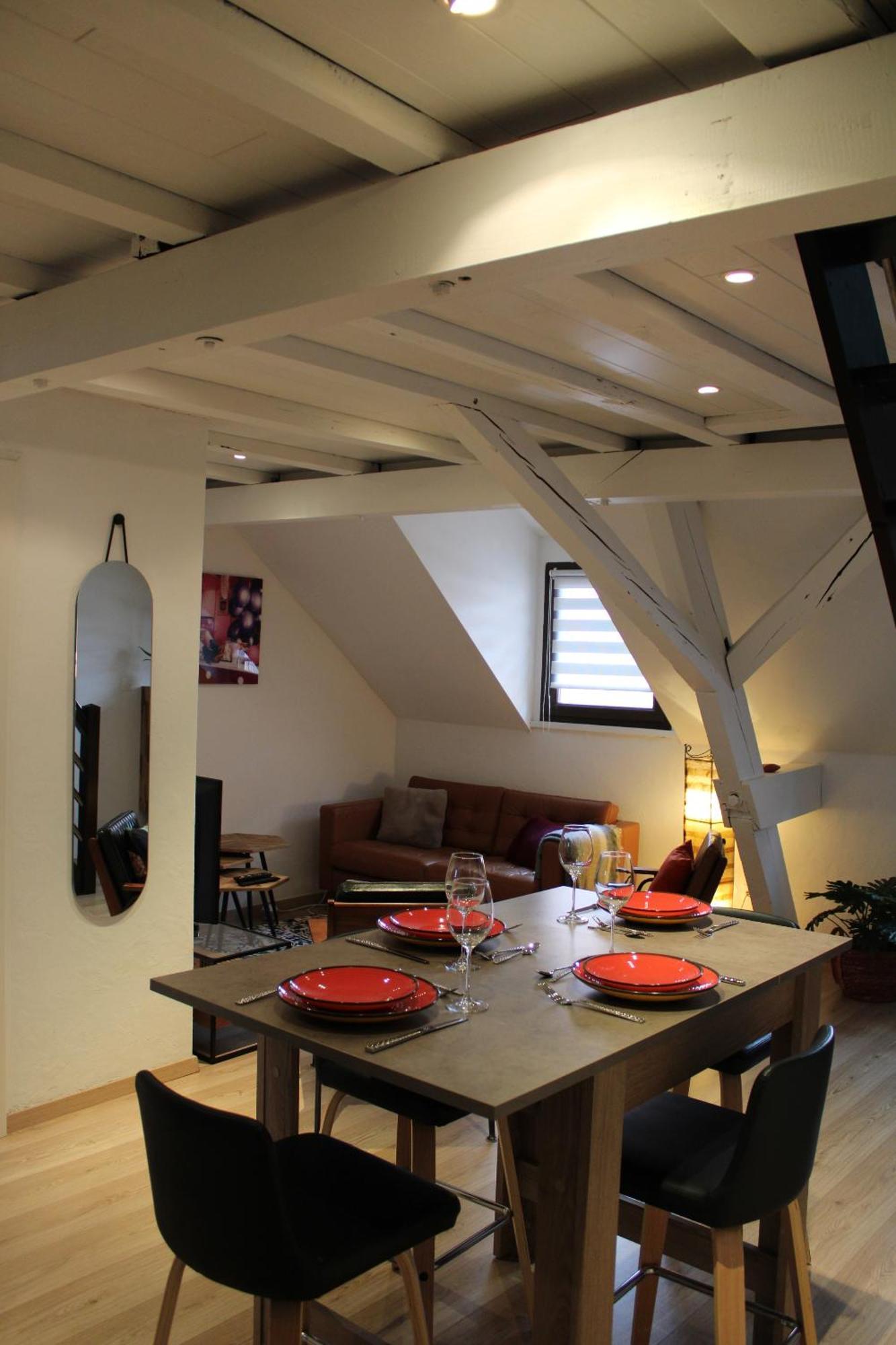Charmant Duplex Privatise, Climatise, 2 Chambres Страсбург Экстерьер фото